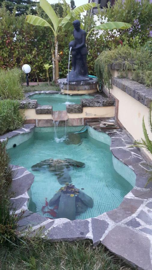 Villa Letizia Pineta ภายนอก รูปภาพ
